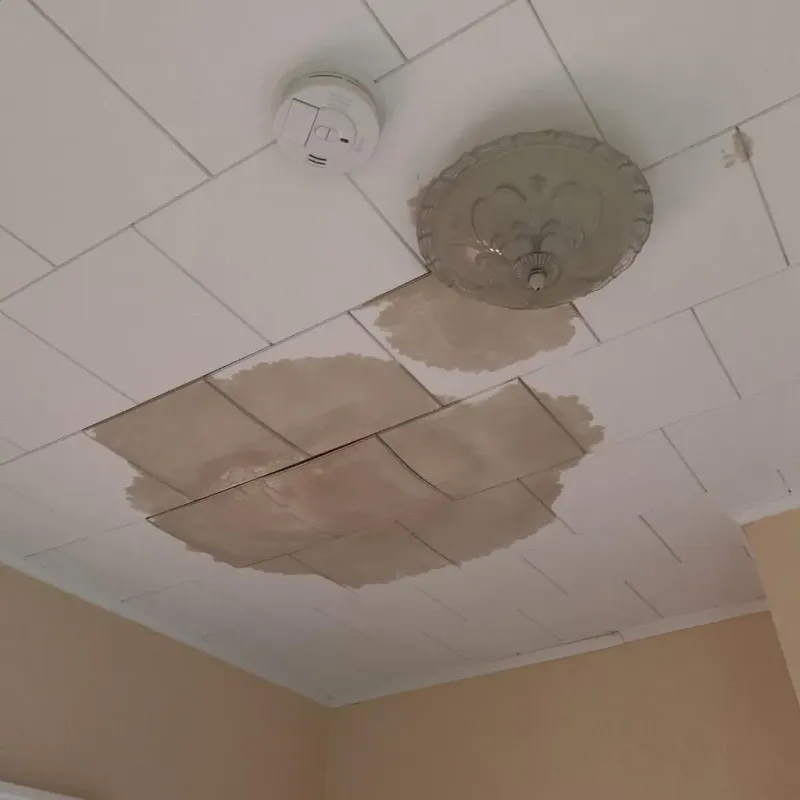Ceiling Water Damage Repair in Island Park, NY